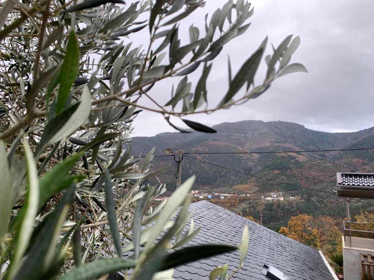 Вилла Casa Do Julien Mountain Experience Вила-Реал Экстерьер фото